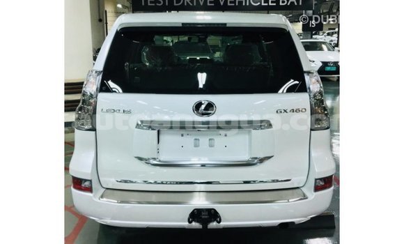 Buy Import Lexus GX White Car in Import - Dubai in Antigua Buy Import Lexus GX White Car in Import - Dubai in Antigua