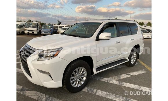 Buy Import Lexus GX White Car in Import - Dubai in Antigua Buy Import Lexus GX White Car in Import - Dubai in Antigua