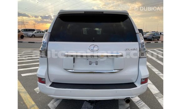Buy Import Lexus GX White Car in Import - Dubai in Antigua Buy Import Lexus GX White Car in Import - Dubai in Antigua
