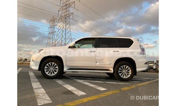 Buy Import Lexus GX White Car in Import - Dubai in Antigua Buy Import Lexus GX White Car in Import - Dubai in Antigua