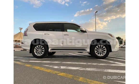 Buy Import Lexus GX White Car in Import - Dubai in Antigua Buy Import Lexus GX White Car in Import - Dubai in Antigua