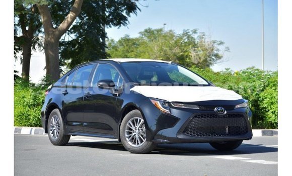 Buy Import Toyota Corolla Black Car in Import - Dubai in Antigua Buy Import Toyota Corolla Black Car in Import - Dubai in Antigua