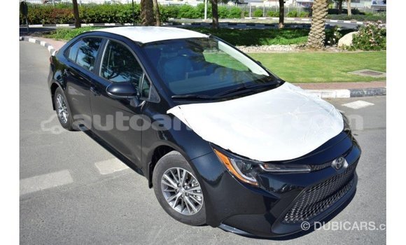 Buy Import Toyota Corolla Black Car in Import - Dubai in Antigua Buy Import Toyota Corolla Black Car in Import - Dubai in Antigua