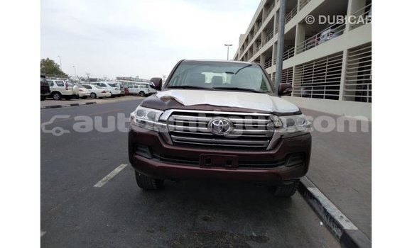 Buy Import Toyota Land Cruiser Brown Car in Import - Dubai in Antigua Buy Import Toyota Land Cruiser Brown Car in Import - Dubai in Antigua