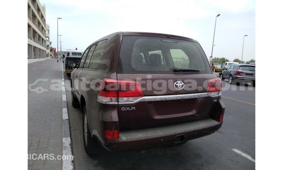 Buy Import Toyota Land Cruiser Brown Car in Import - Dubai in Antigua Buy Import Toyota Land Cruiser Brown Car in Import - Dubai in Antigua