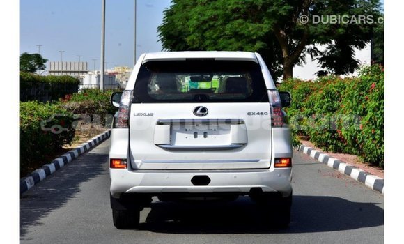 Buy Import Lexus GX White Car in Import - Dubai in Antigua Buy Import Lexus GX White Car in Import - Dubai in Antigua