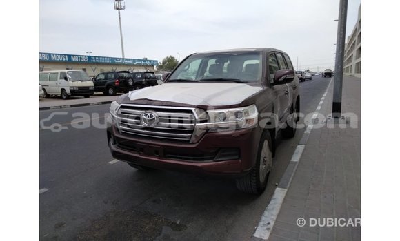 Buy Import Toyota Land Cruiser Brown Car in Import - Dubai in Antigua Buy Import Toyota Land Cruiser Brown Car in Import - Dubai in Antigua