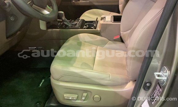 Buy Import Lexus GX Other Car in Import - Dubai in Antigua Buy Import Lexus GX Other Car in Import - Dubai in Antigua