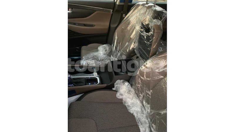 Big with watermark hyundai santa fe antigua import dubai 1715