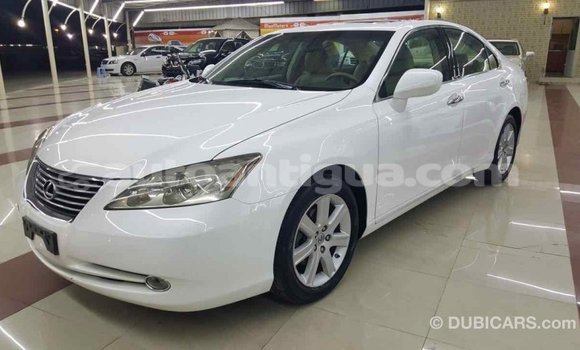 Buy Import Lexus ES White Car in Import - Dubai in Antigua Buy Import Lexus ES White Car in Import - Dubai in Antigua