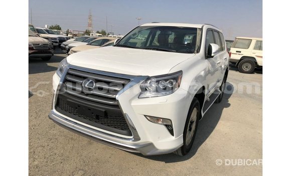 Buy Import Lexus GX White Car in Import - Dubai in Antigua