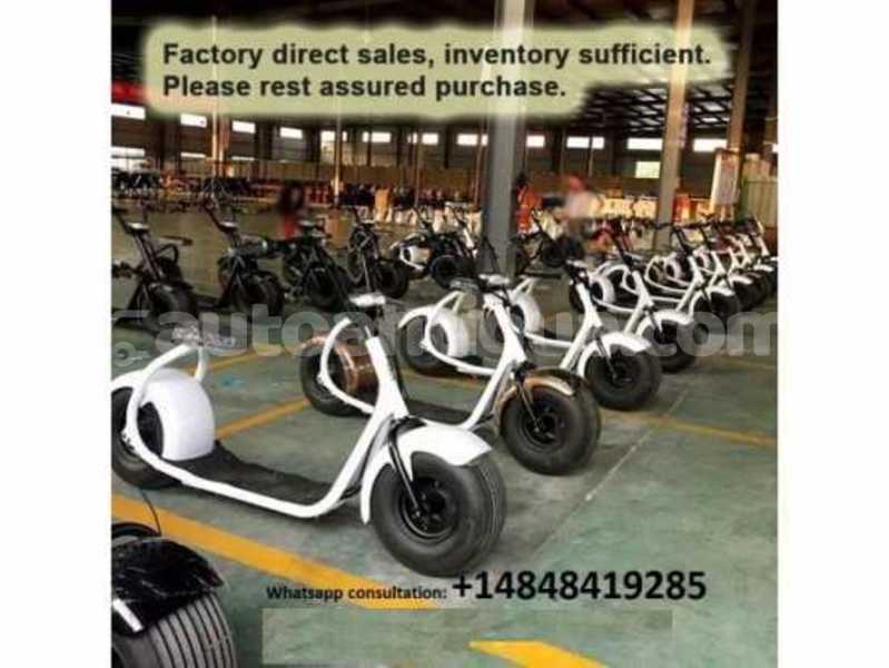 Big with watermark harley davidson fl antigua st john's 1765