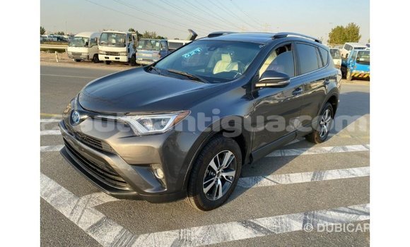 Buy Import Toyota HiAce Other Truck in Import - Dubai in Antigua Buy Import Toyota HiAce Other Truck in Import - Dubai in Antigua