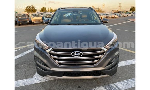 Buy Import Hyundai Tucson Other Car in Import - Dubai in Antigua Buy Import Hyundai Tucson Other Car in Import - Dubai in Antigua