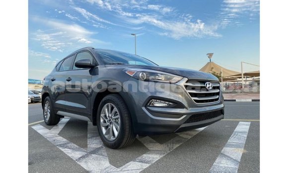Buy Import Hyundai Tucson White Car in Import - Dubai in Antigua Buy Import Hyundai Tucson White Car in Import - Dubai in Antigua