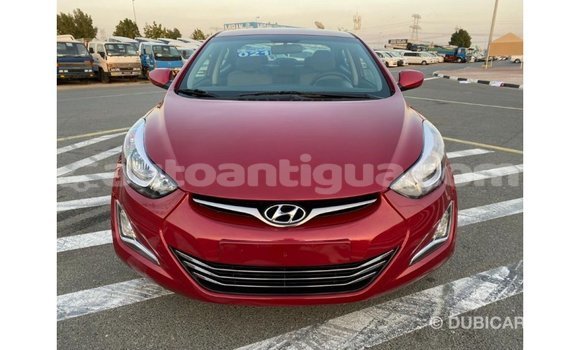 Buy Import Hyundai Elantra Red Car in Import - Dubai in Antigua Buy Import Hyundai Elantra Red Car in Import - Dubai in Antigua