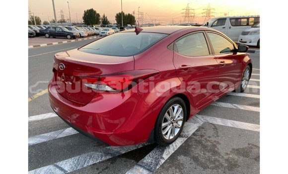 Buy Import Hyundai Elantra Red Car in Import - Dubai in Antigua Buy Import Hyundai Elantra Red Car in Import - Dubai in Antigua