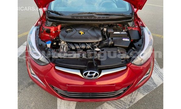 Buy Import Hyundai Elantra Red Car in Import - Dubai in Antigua Buy Import Hyundai Elantra Red Car in Import - Dubai in Antigua
