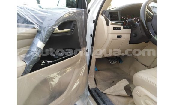 Buy Import Lexus LX White Car in Import - Dubai in Antigua Buy Import Lexus LX White Car in Import - Dubai in Antigua