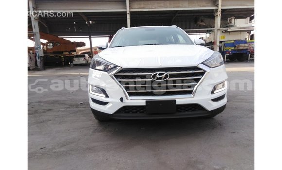 Buy Import Hyundai Tucson White Car in Import - Dubai in Antigua Buy Import Hyundai Tucson White Car in Import - Dubai in Antigua