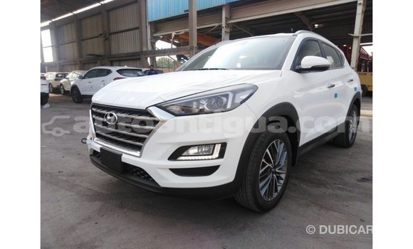 Buy Import Hyundai Tucson White Car in Import - Dubai in Antigua Buy Import Hyundai Tucson White Car in Import - Dubai in Antigua