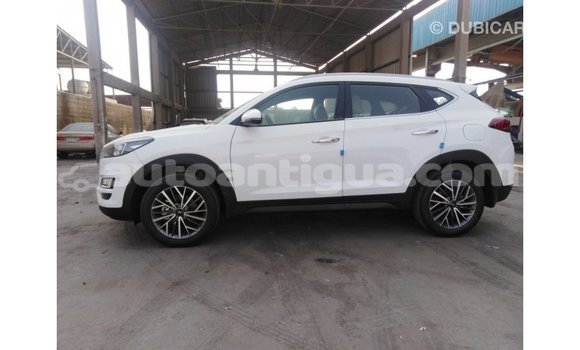 Buy Import Hyundai Tucson White Car in Import - Dubai in Antigua Buy Import Hyundai Tucson White Car in Import - Dubai in Antigua