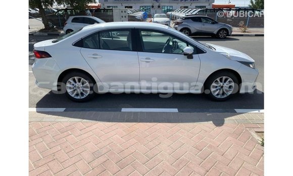 Buy Import Toyota Corolla White Car in Import - Dubai in Antigua Buy Import Toyota Corolla White Car in Import - Dubai in Antigua