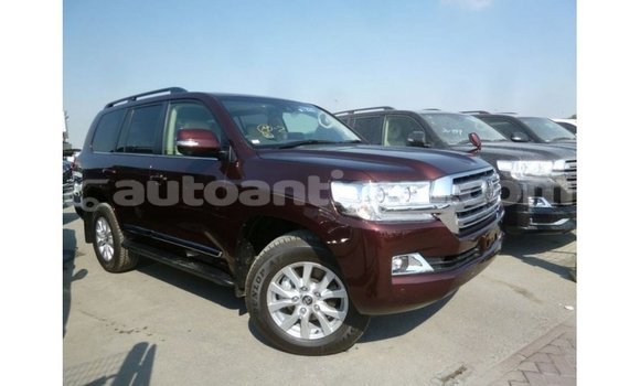 Buy Import Toyota Land Cruiser Brown Car in Import - Dubai in Antigua Buy Import Toyota Land Cruiser Brown Car in Import - Dubai in Antigua