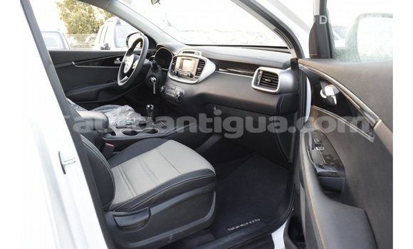 Buy Import Kia Sorento White Car in Import - Dubai in Antigua