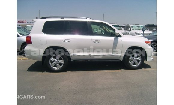 Buy Import Toyota Land Cruiser White Car in Import - Dubai in Antigua Buy Import Toyota Land Cruiser White Car in Import - Dubai in Antigua