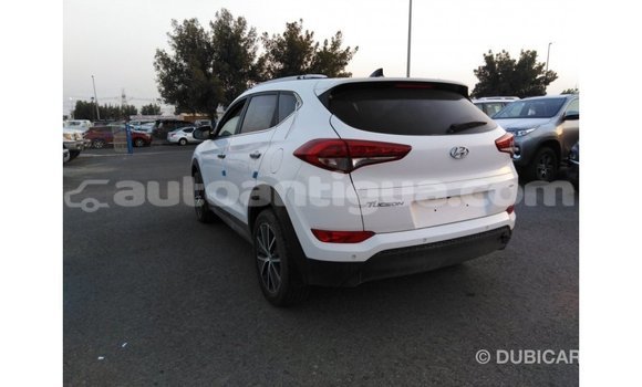 Buy Import Hyundai Tucson White Car in Import - Dubai in Antigua Buy Import Hyundai Tucson White Car in Import - Dubai in Antigua