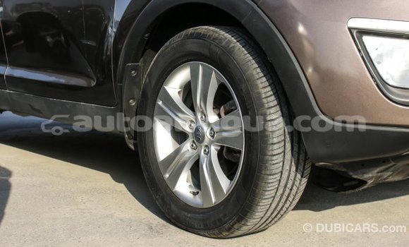 Buy Import Kia Sportage Brown Car in Import - Dubai in Antigua