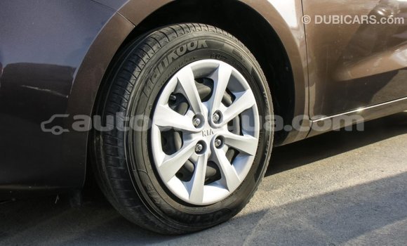 Buy Import Kia Rio Brown Car in Import - Dubai in Antigua