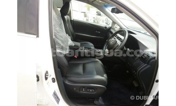 Buy Import Lexus RX 350 White Car in Import - Dubai in Antigua Buy Import Lexus RX 350 White Car in Import - Dubai in Antigua