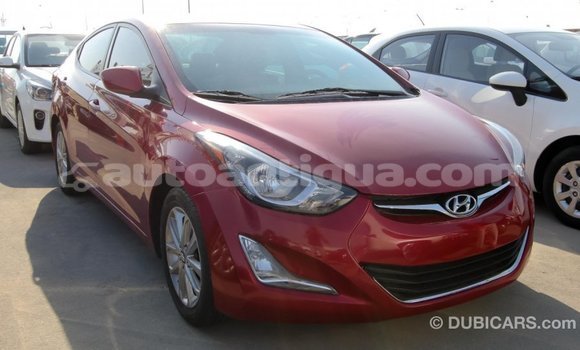Buy Import Hyundai Elantra Red Car in Import - Dubai in Antigua Buy Import Hyundai Elantra Red Car in Import - Dubai in Antigua