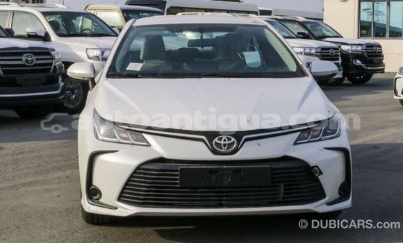 Buy Import Toyota Corolla White Car in Import - Dubai in Antigua Buy Import Toyota Corolla White Car in Import - Dubai in Antigua