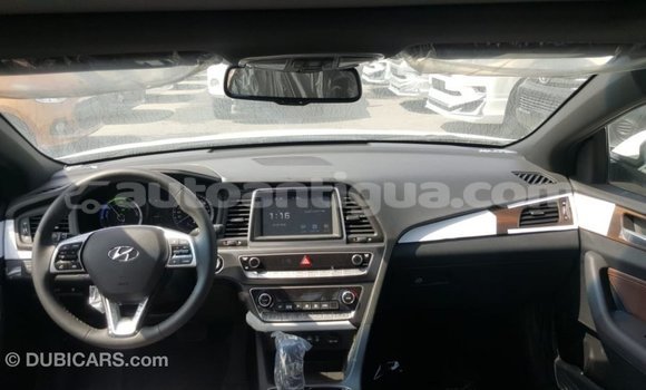 Buy Import Hyundai Sonata White Car in Import - Dubai in Antigua Buy Import Hyundai Sonata White Car in Import - Dubai in Antigua