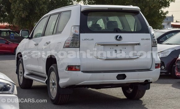 Buy Import Lexus GX White Car in Import - Dubai in Antigua Buy Import Lexus GX White Car in Import - Dubai in Antigua