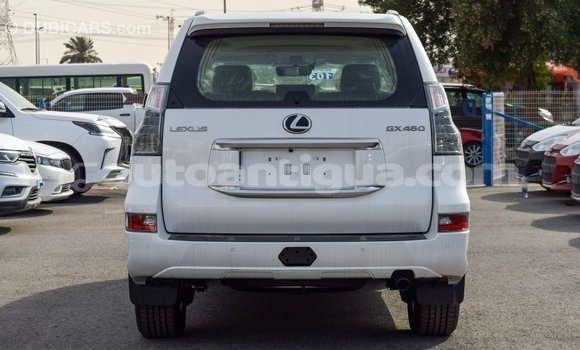 Buy Import Lexus GX White Car in Import - Dubai in Antigua Buy Import Lexus GX White Car in Import - Dubai in Antigua