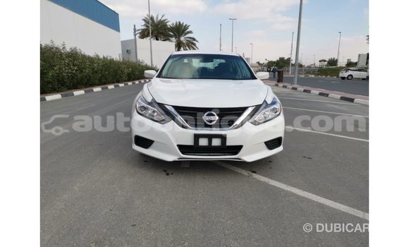 Buy Import Nissan Altima White Car in Import - Dubai in Antigua Buy Import Nissan Altima White Car in Import - Dubai in Antigua
