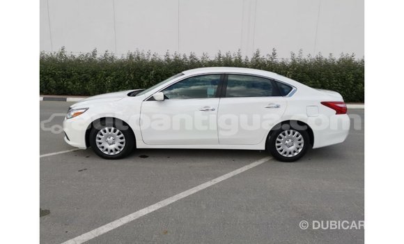 Buy Import Nissan Altima White Car in Import - Dubai in Antigua Buy Import Nissan Altima White Car in Import - Dubai in Antigua