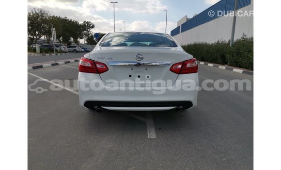 Buy Import Nissan Altima White Car in Import - Dubai in Antigua Buy Import Nissan Altima White Car in Import - Dubai in Antigua