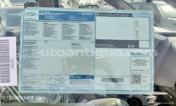 Buy Import Ford Club Wagon Red Car in Import - Dubai in Antigua Buy Import Ford Club Wagon Red Car in Import - Dubai in Antigua