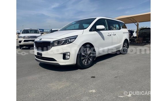 Buy Import Kia Carnival White Car in Import - Dubai in Antigua Buy Import Kia Carnival White Car in Import - Dubai in Antigua