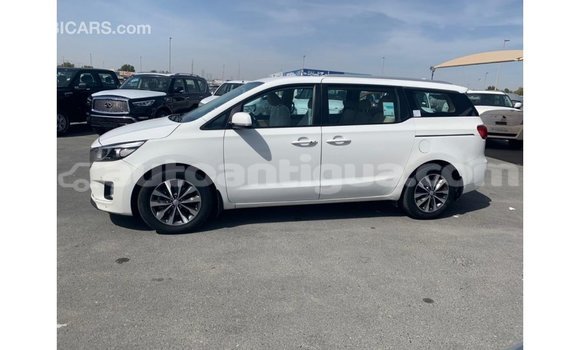 Buy Import Kia Carnival White Car in Import - Dubai in Antigua Buy Import Kia Carnival White Car in Import - Dubai in Antigua