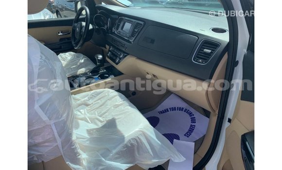 Buy Import Kia Carnival White Car in Import - Dubai in Antigua Buy Import Kia Carnival White Car in Import - Dubai in Antigua
