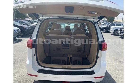 Buy Import Kia Carnival White Car in Import - Dubai in Antigua Buy Import Kia Carnival White Car in Import - Dubai in Antigua