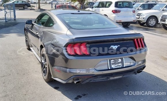 Buy Import Ford Mustang Other Car in Import - Dubai in Antigua Buy Import Ford Mustang Other Car in Import - Dubai in Antigua