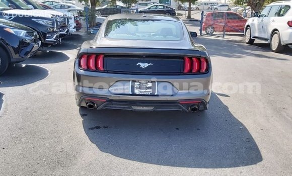 Buy Import Ford Mustang Other Car in Import - Dubai in Antigua Buy Import Ford Mustang Other Car in Import - Dubai in Antigua