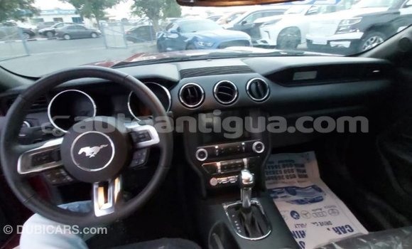 Buy Import Ford Mustang Red Car in Import - Dubai in Antigua Buy Import Ford Mustang Red Car in Import - Dubai in Antigua